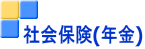 社会保険(年金)